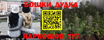 сатива Кандалакша