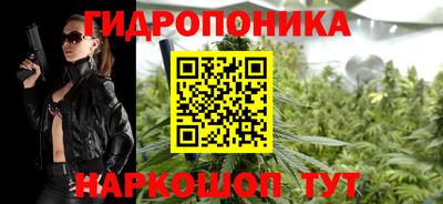 сатива Кандалакша