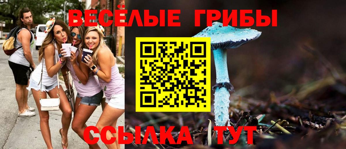 Псилоцибиновые грибы Cubensis  Псилоцибиновые грибы GOLDEN TEACHER  Вход с VPN  Кубинка 